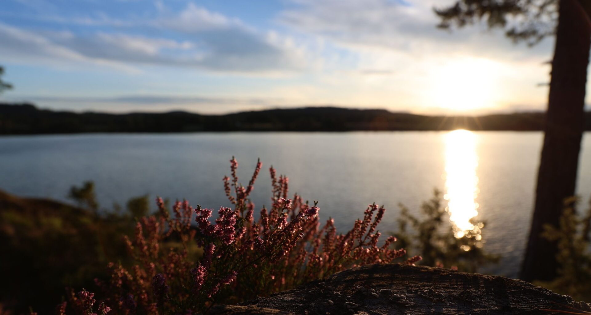 Leserbrev | Vindkraft: Naturødeleggelse for dummies - Smaalenenes Avis