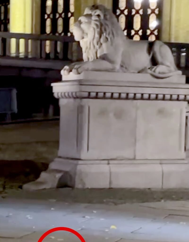 Bilde av Frank Ertesvåg