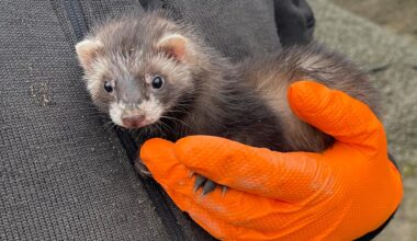 – Ble litt betatt av hverandre