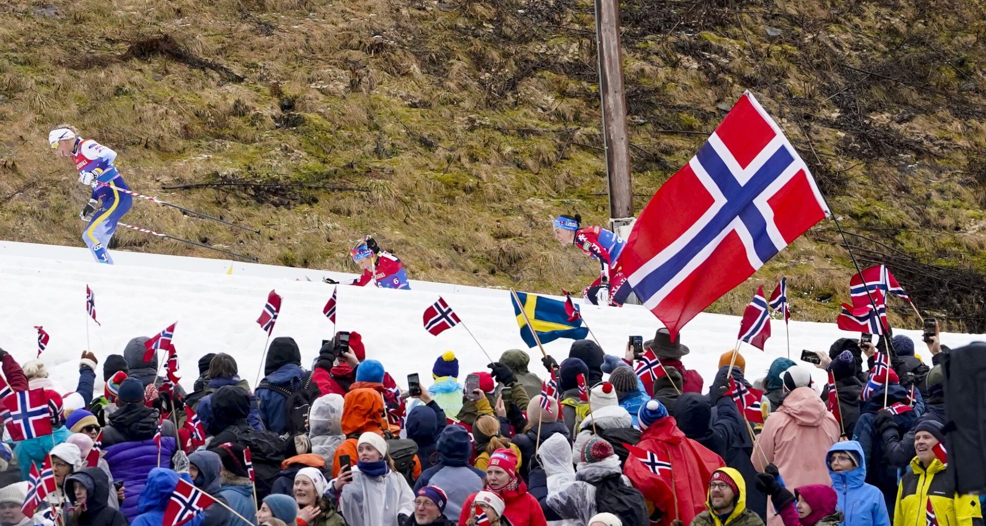 Ski-VM, Lokalmat | Etterforsker Ski-VM etter anmeldelse på vegne av lokalmatprodusenter