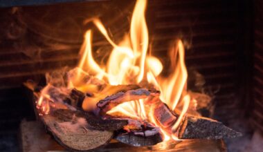 Peis, Vedovn | En av tre vet ikke hvordan de skal holde varmen om strømmen forsvinner