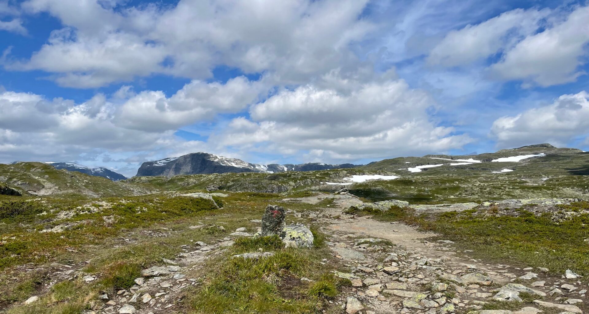 DNT, Friluftsliv | DNT stenger hytter av hensyn til villreinen