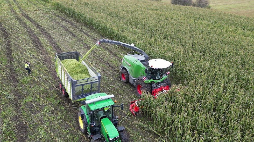Dette har du neppe sett i Trøndelag før: – Veldig tøft at vi har fått det til