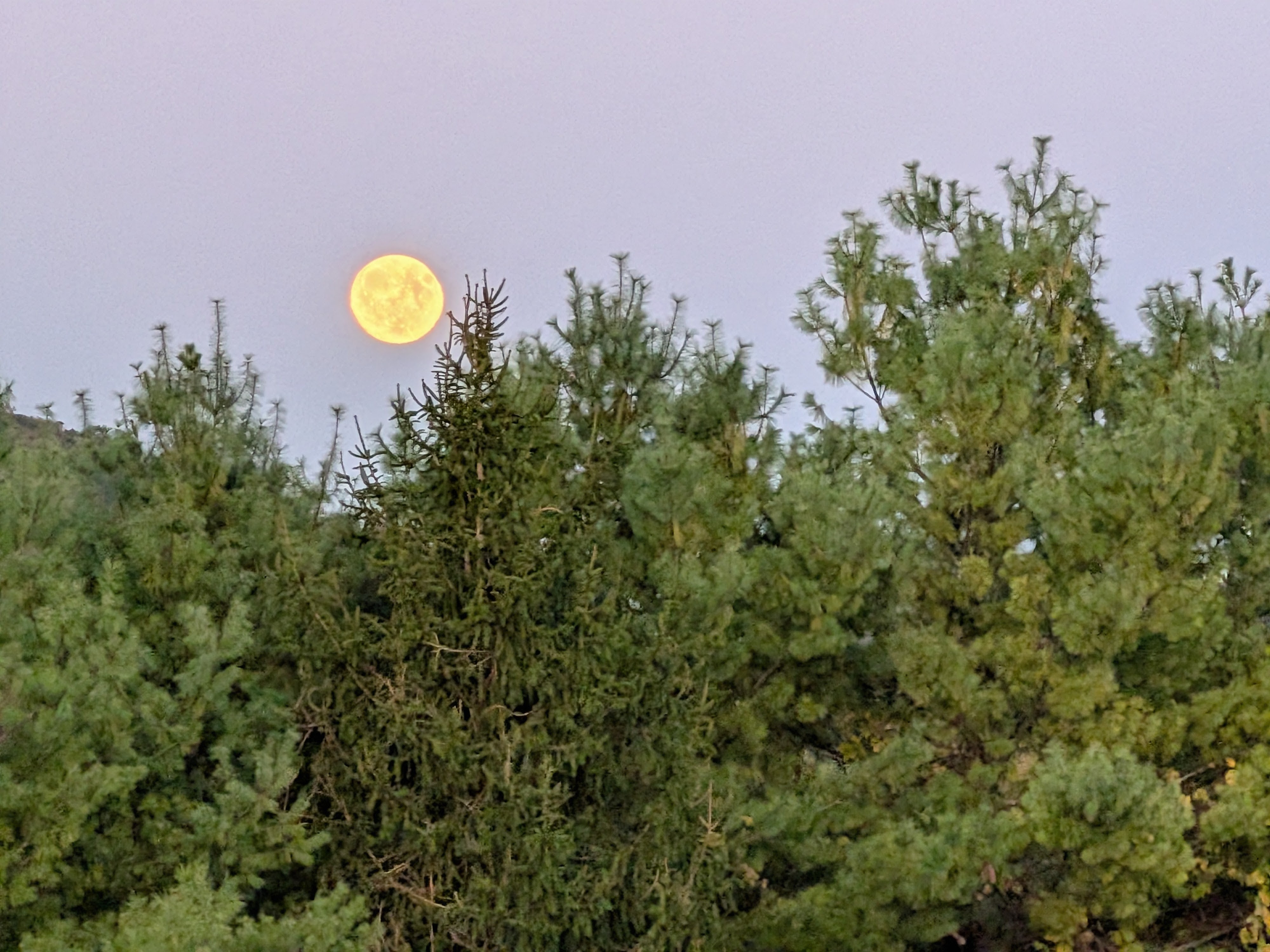 Fotoeksempel tatt med Google Pixel 10 Pro Fold.