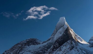 Legger realityserie på hyllen etter dødsfall