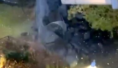 Bilde av Nora Viskjer