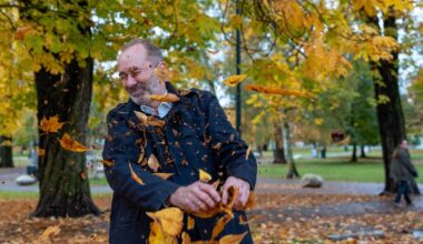 Giske dømmer Høyre nord og ned