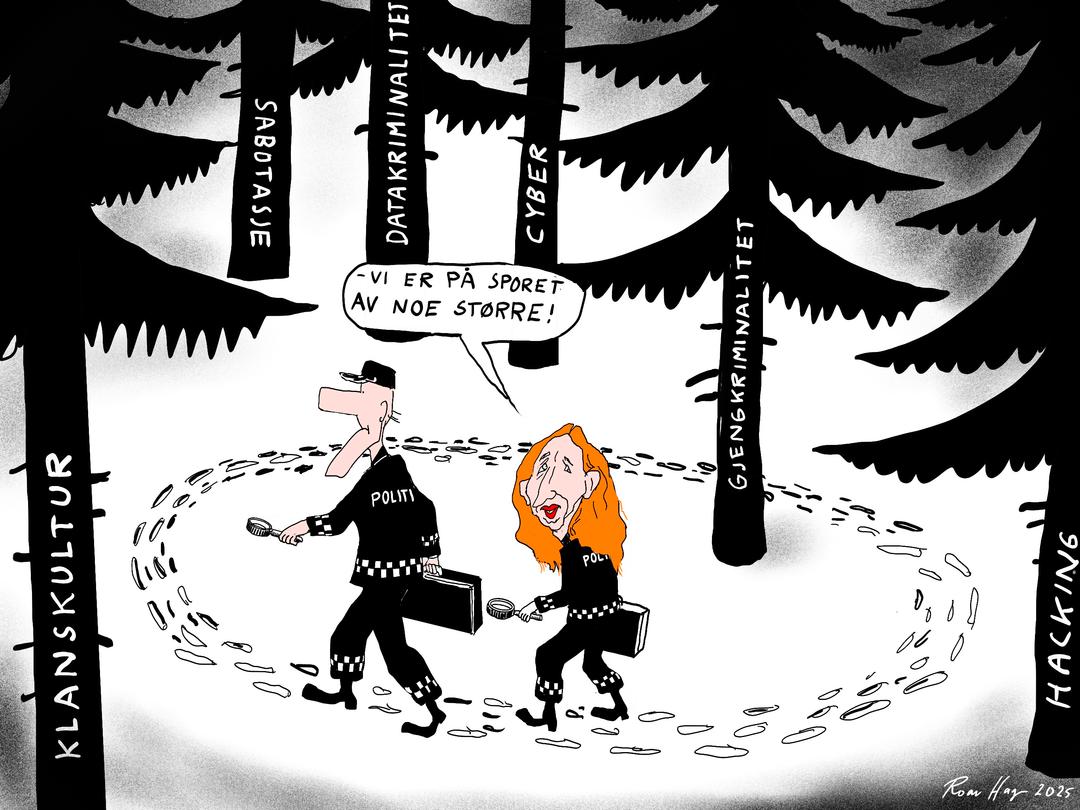 Meninger: Politiet må styrkes