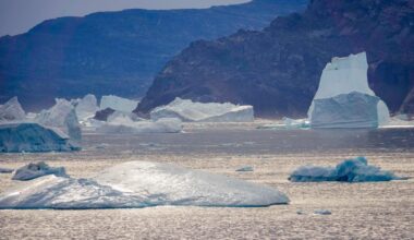Meninger: Klimamål krever klimatiltak!