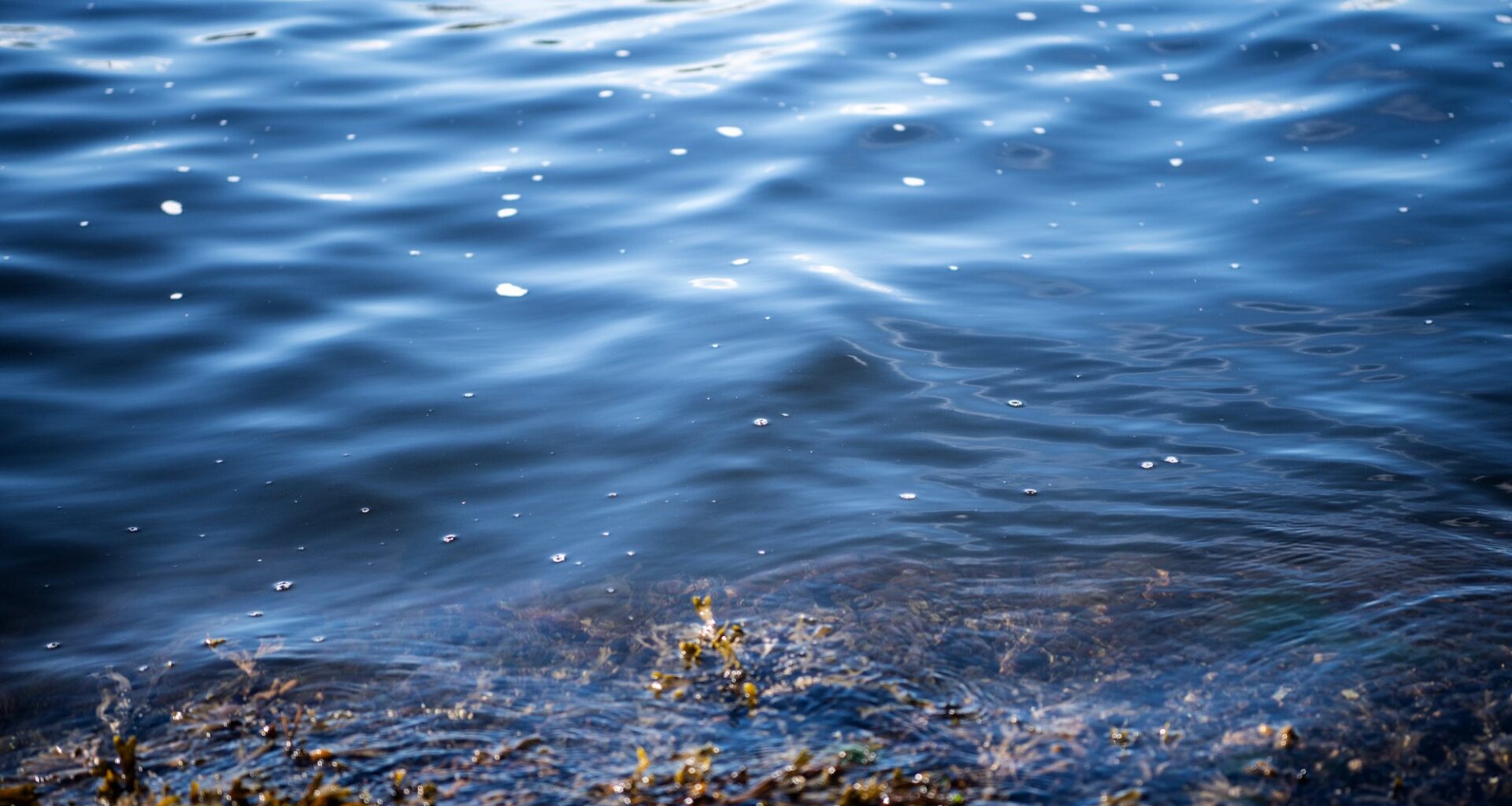 Oslofjorden, Tønsberg | Nye fiskeritiltak trer i kraft i Oslofjorden