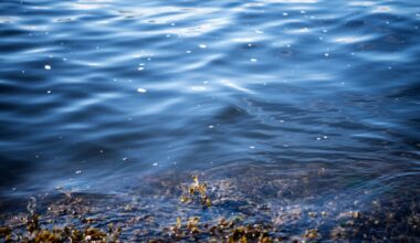 Oslofjorden, Tønsberg | Nye fiskeritiltak trer i kraft i Oslofjorden