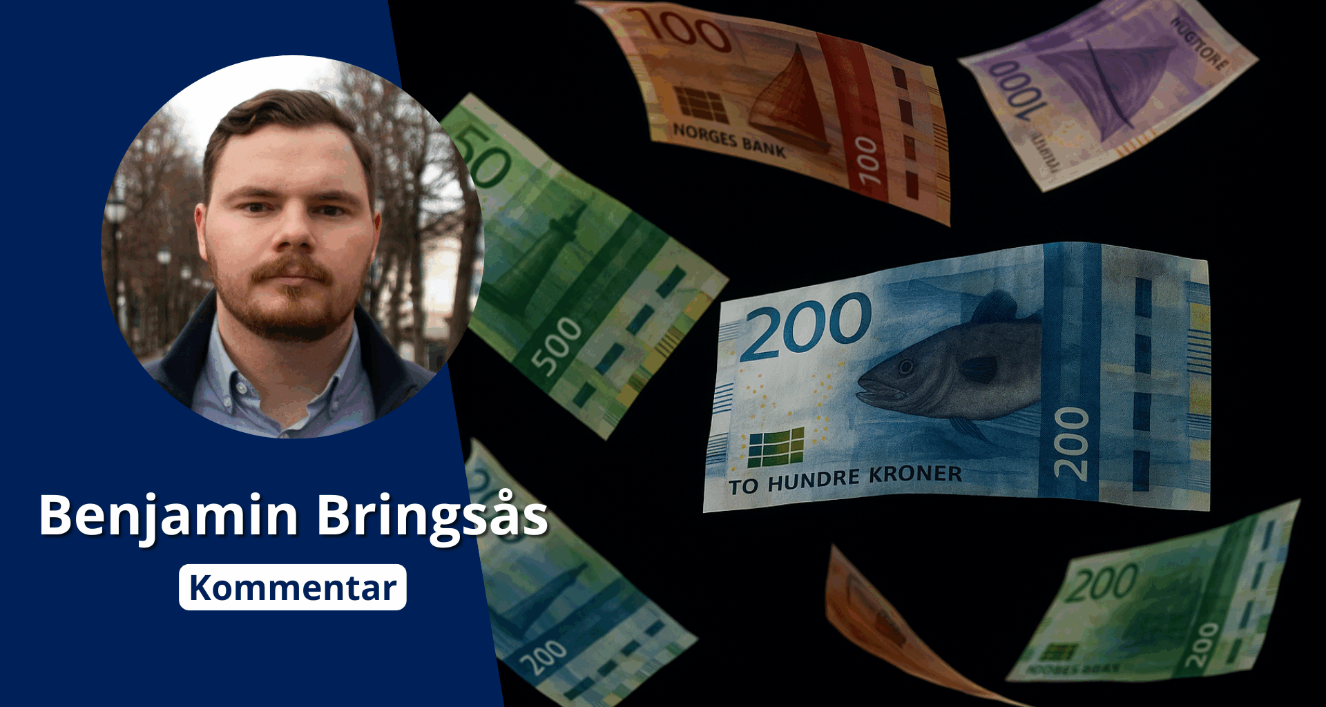 Staten låner, finansnæringen tjener, folket betaler