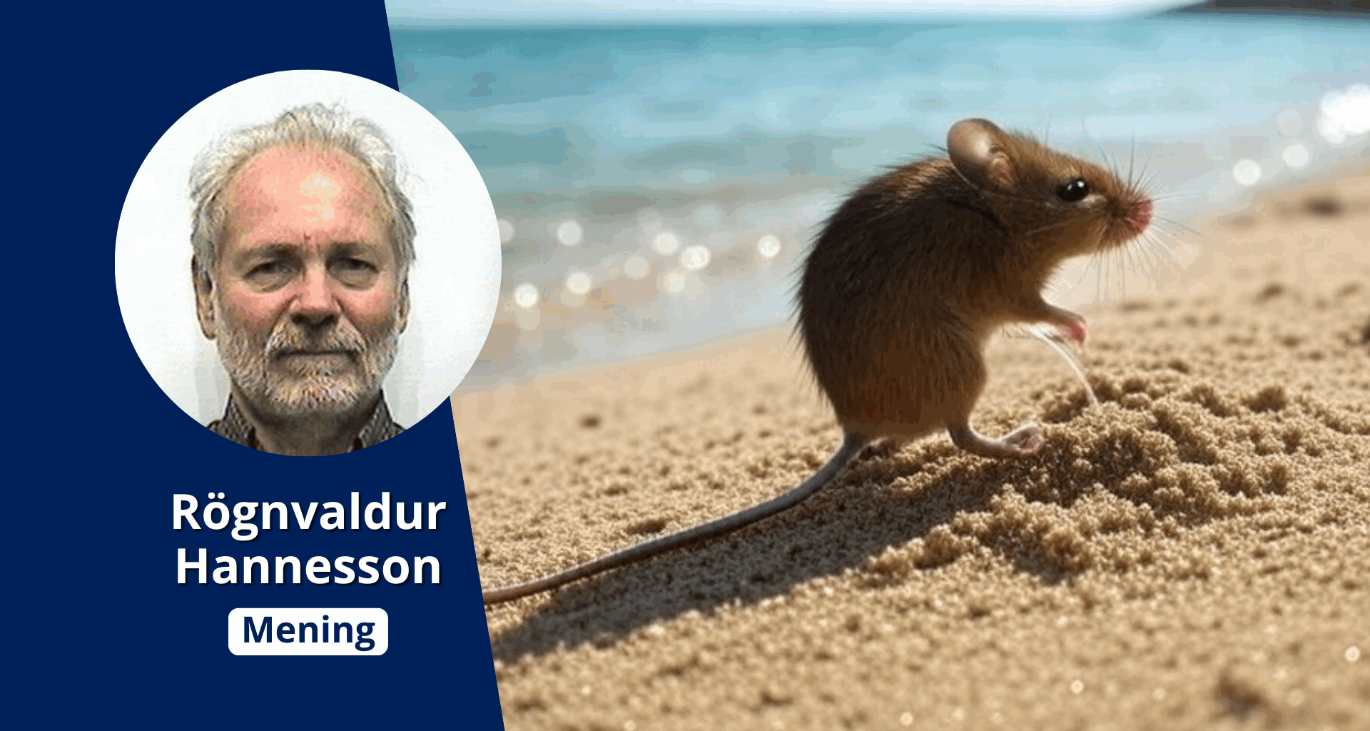 Meningsløs klimapolitikk for fall