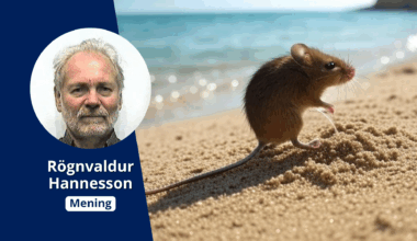 Meningsløs klimapolitikk for fall