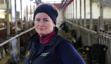 Landbruk, Metanhemmere | Bønder i Rogland og Telemark vil ikke ha metanhemmere: – Du kødder ikke med naturen for å redde naturen.