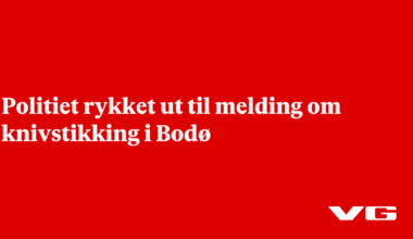 Politiet rykket ut til melding om knivstikking i Bodø
