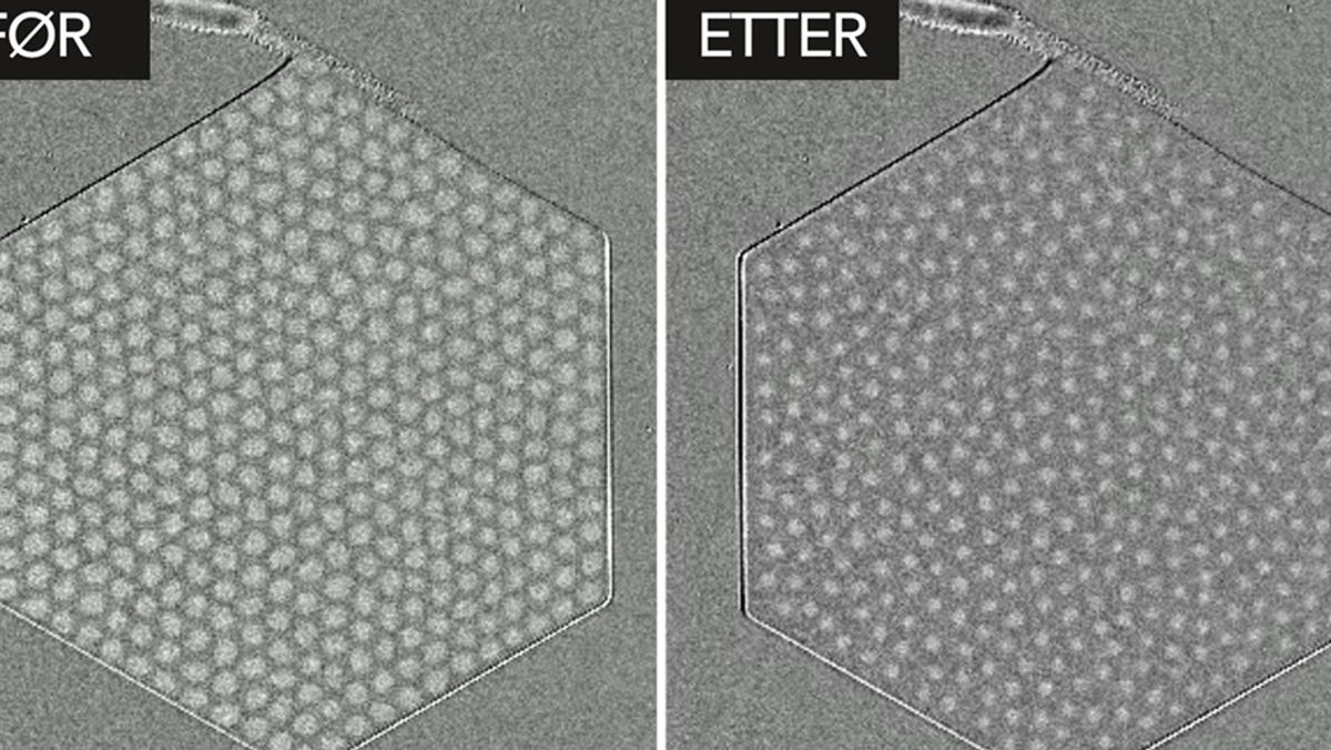 Dette er to bilder av skyrmiongitteret, før og etter at det har smeltet.