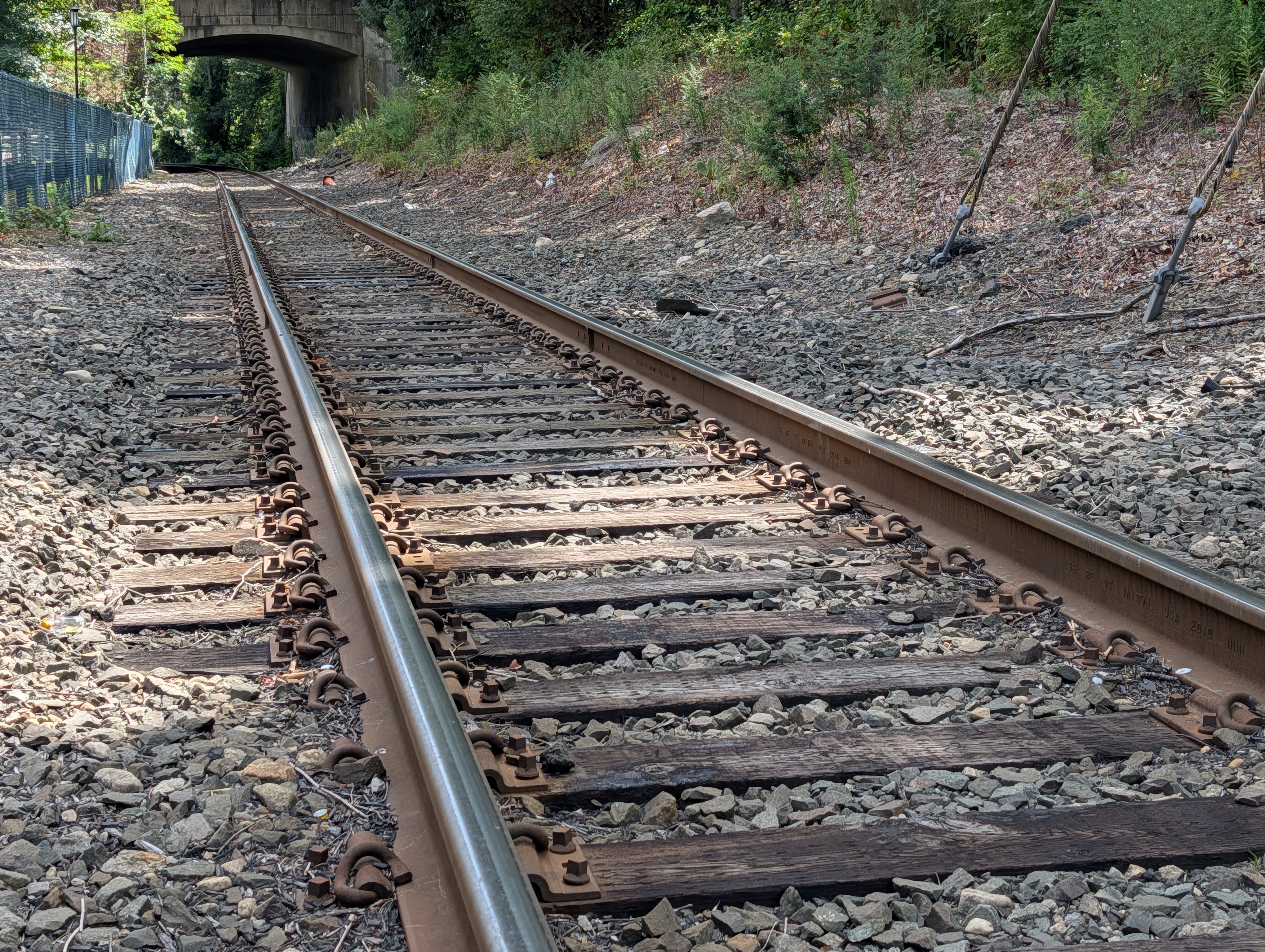 Fotoeksempler tatt med Pixel 10 Pro og Pixel 10 Pro XL.