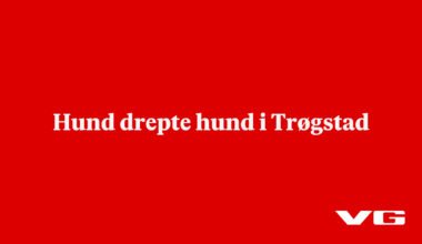 Hund drepte hund i Trøgstad