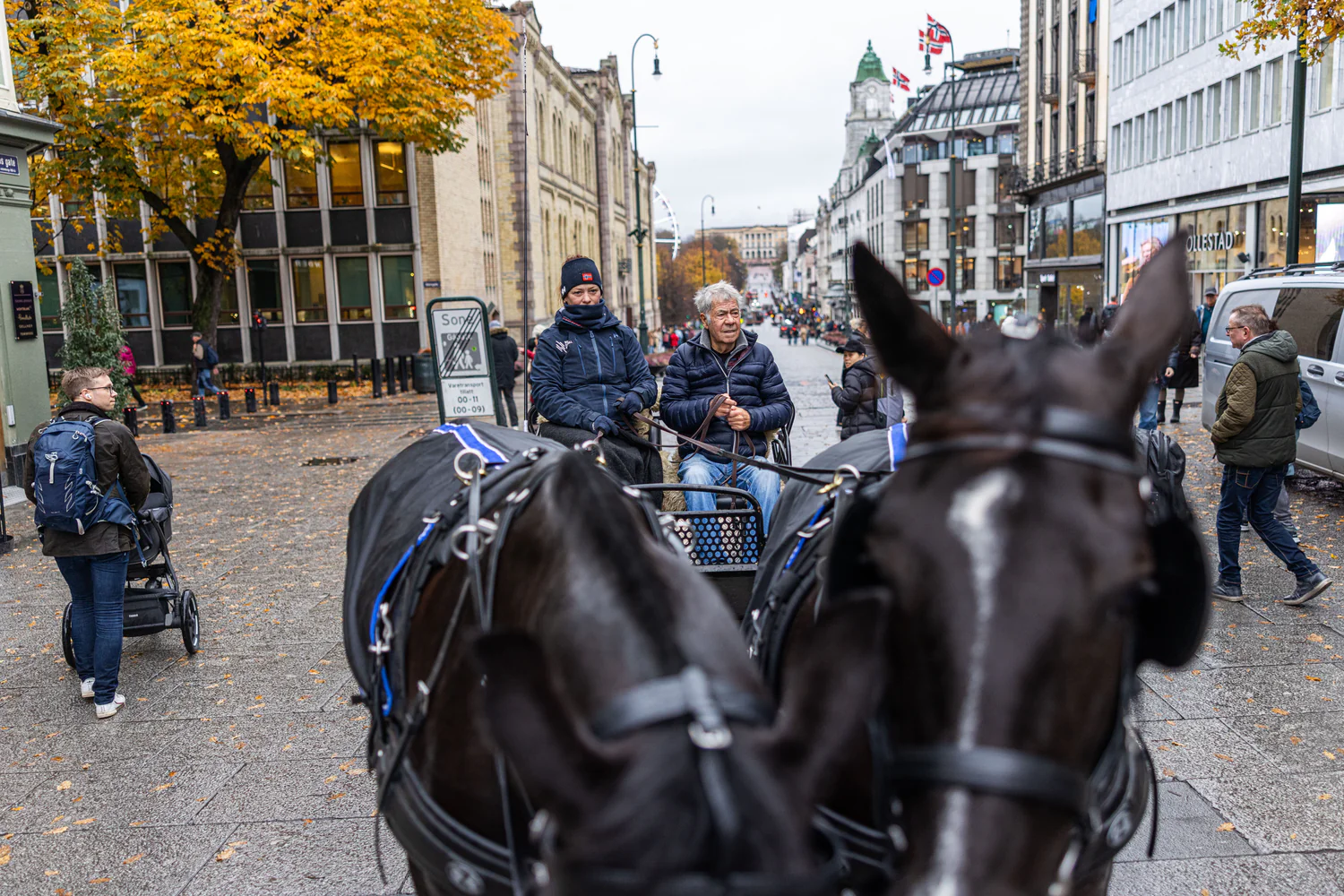 Drillo på Karl Johan: Sjokk-comeback etter 32 år - TV2.no