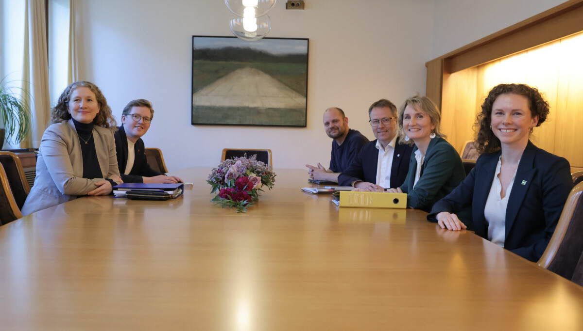 Vil de rødgrønne partiene bli enige om statsbudsjettet?