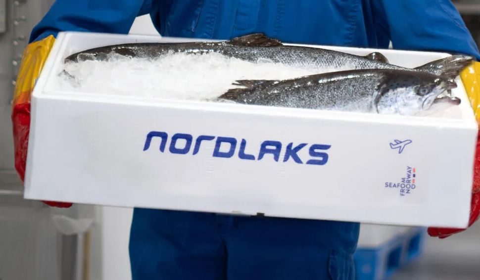 (+) Nordlaks anmelder: – Vi hadde ingen mistanker - vol.no