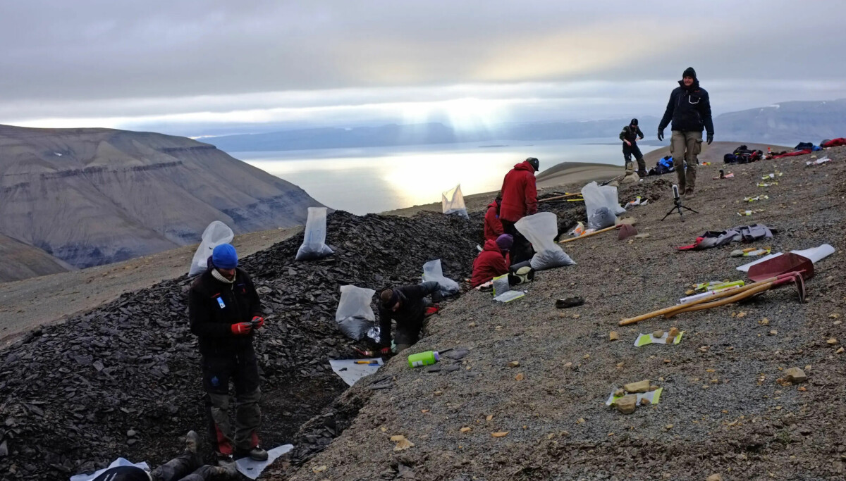 Gigantisk samling av fossiler skjulte eldgammel overraskelse