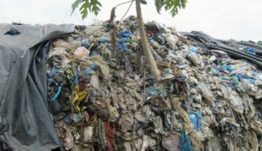 Norsk forskning bidrar til å vise vei ut av verdens plastkrise