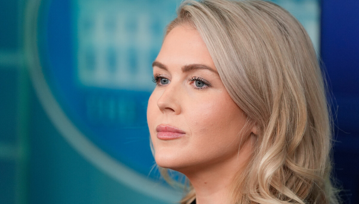 Leavitt-slektning pågrepet av ICE