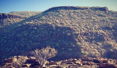 Varsler uvanlig varm vinter på Kanariøyene