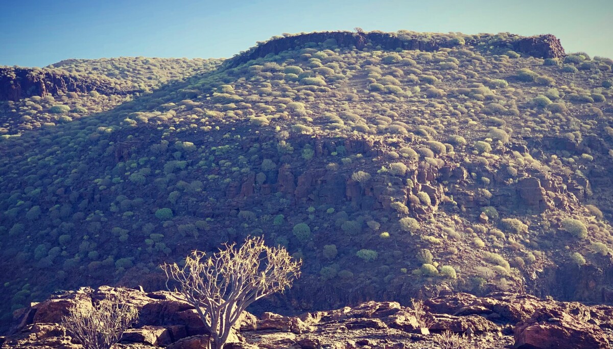 Varsler uvanlig varm vinter på Kanariøyene