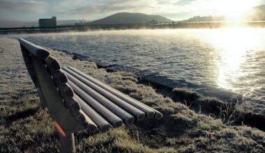 Meteorologene varsler kulde – men snøen uteblir - Drammens Tidende