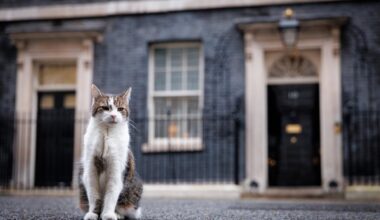 Katten Larry får sin egen dokumentarserie