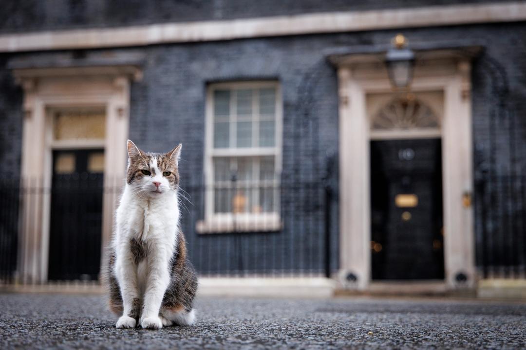 Katten Larry får sin egen dokumentarserie