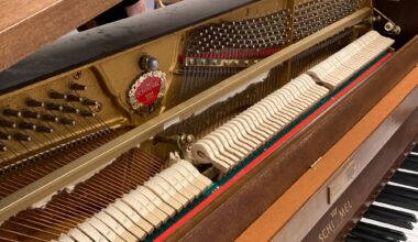 Steinkjer, Levanger | Fant firbeint gjest i pianoet rett før konsert