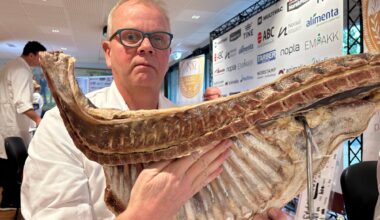 Pinnekjøtt, Julemat | Kårer Norges beste pinnekjøtt i NM