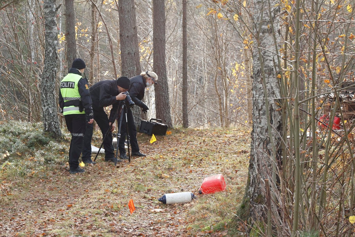 Drangedal, Drap | Mann dømt til 13 års fengsel for drapet på Anette (54)