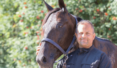 Sport, Ådal | Stjernehest fra Ådal vant i comebacket