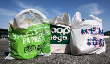 Rådyre plastposer: – Skjult skatt