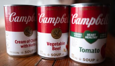 Sparket toppleder etter lekket lydopptak: – Vulgært, støtende og usant