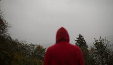 Vårsøgbygdas hemmelighet — Hans Hyldbakk og overgrepsryktene i Surnadal