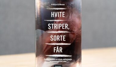 Den mye omtalte Høiby-boken er skrevet av nåværende og tidligere Dagbladet-journalister Torgeir Krokfjord og Øistein Monsen.