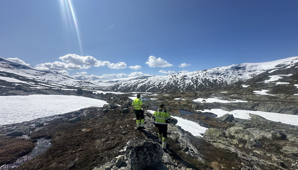 Norconsult vant Hydro-kontrakt