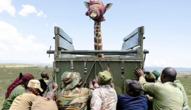 Bilde av Thomas Andreassen