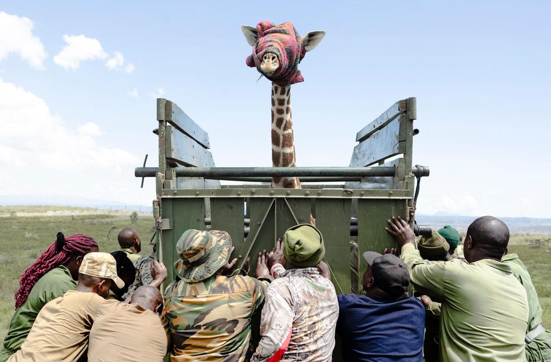 Bilde av Thomas Andreassen