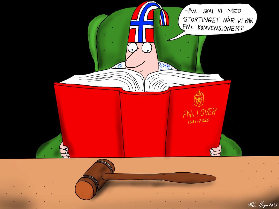 Kommentar: CRPD - her kan Stortinget trå feil