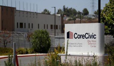 Kvinne fra Nordland arrestert av Ice i USA