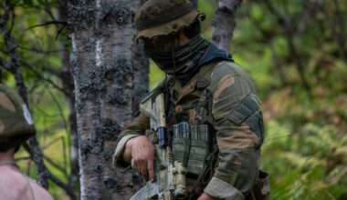 Derfor handler mangfold også om menn