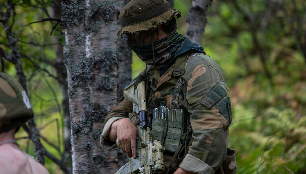 Derfor handler mangfold også om menn