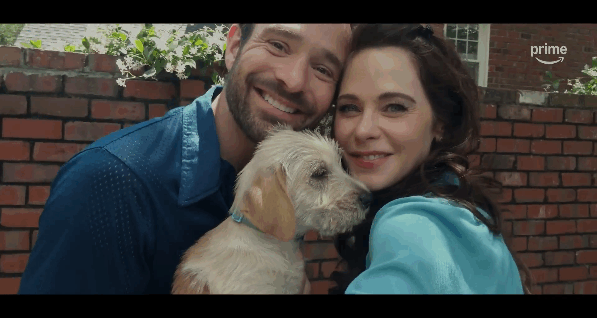 Charlie Cox og Zooey Deschanel spiller hovedrollene i Prime Videos festlige hundefilm Merv